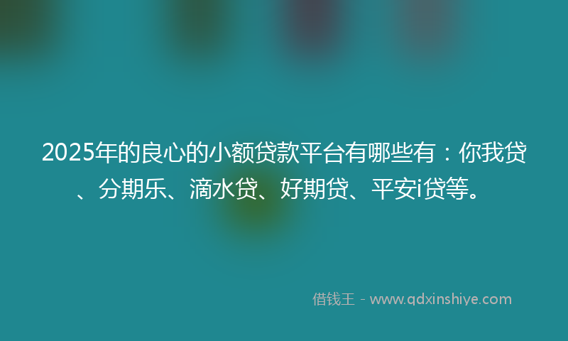 2025年的良心的小额贷款平台有哪些有：你我贷、分期乐、滴水贷、好期贷、平安i贷等。