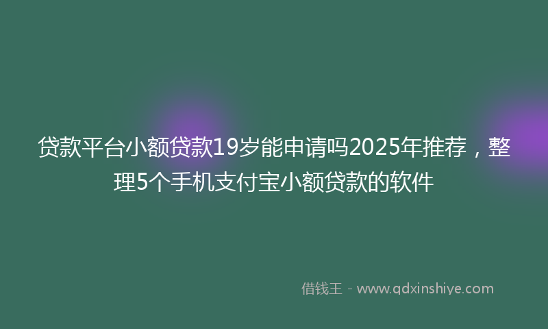 贷款平台小额贷款19岁能申请吗2025年推荐，整理5个手机支付宝小额贷款的软件