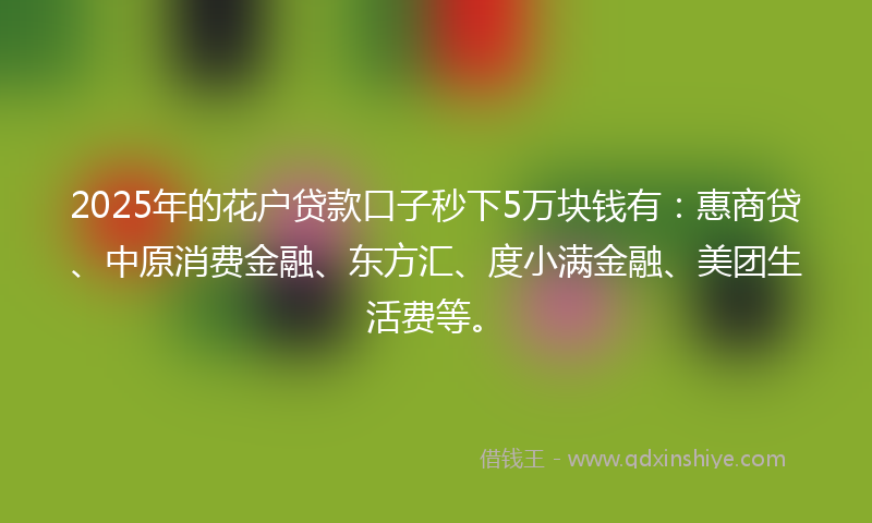 2025年的花户贷款口子秒下5万块钱有：惠商贷、中原消费金融、东方汇、度小满金融、美团生活费等。