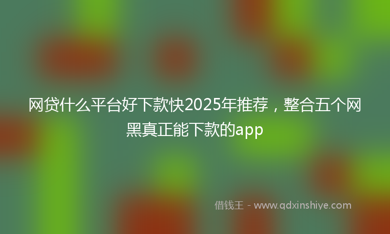 网贷什么平台好下款快2025年推荐，整合五个网黑真正能下款的app