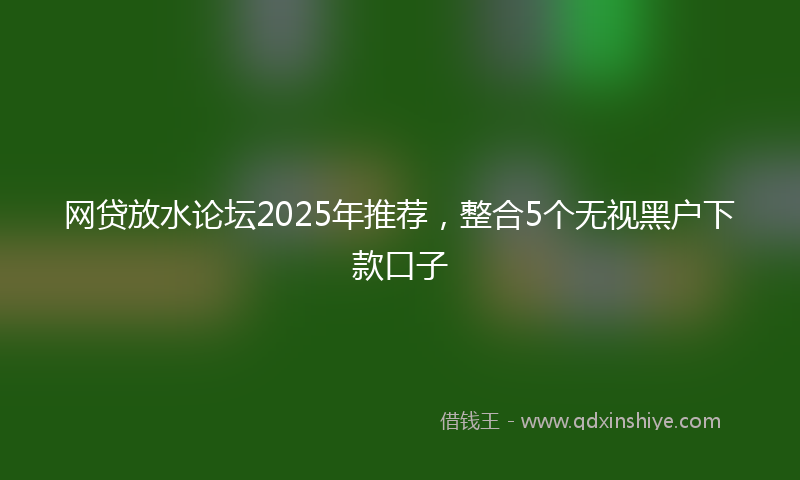 网贷放水论坛2025年推荐，整合5个无视黑户下款口子