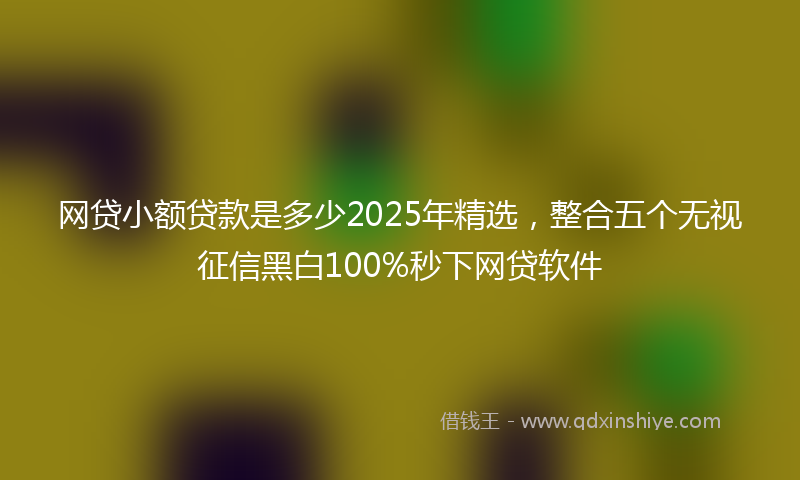 网贷小额贷款是多少2025年精选，整合五个无视征信黑白100%秒下网贷软件