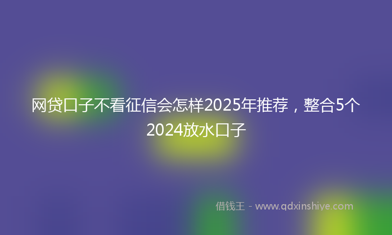 网贷口子不看征信会怎样2025年推荐，整合5个2024放水口子