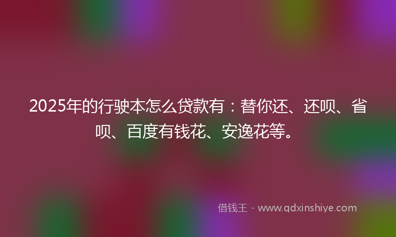 2025年的行驶本怎么贷款有：替你还、还呗、省呗、百度有钱花、安逸花等。