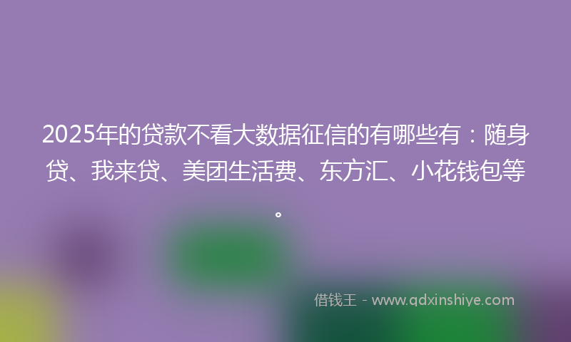 2025年的贷款不看大数据征信的有哪些有：随身贷、我来贷、美团生活费、东方汇、小花钱包等。