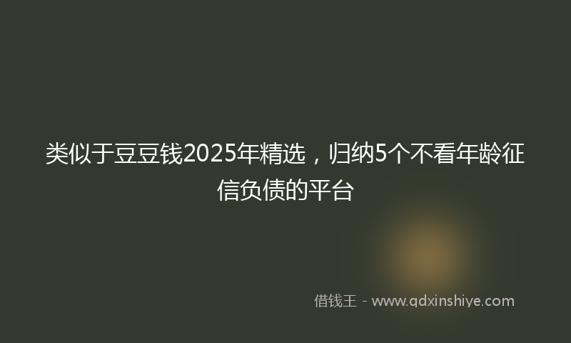 类似于豆豆钱2025年精选，归纳5个不看年龄征信负债的平台