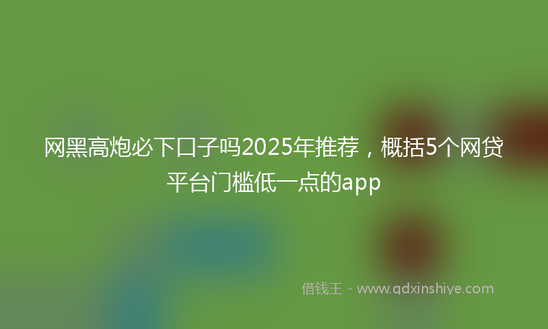 网黑高炮必下口子吗2025年推荐，概括5个网贷平台门槛低一点的app