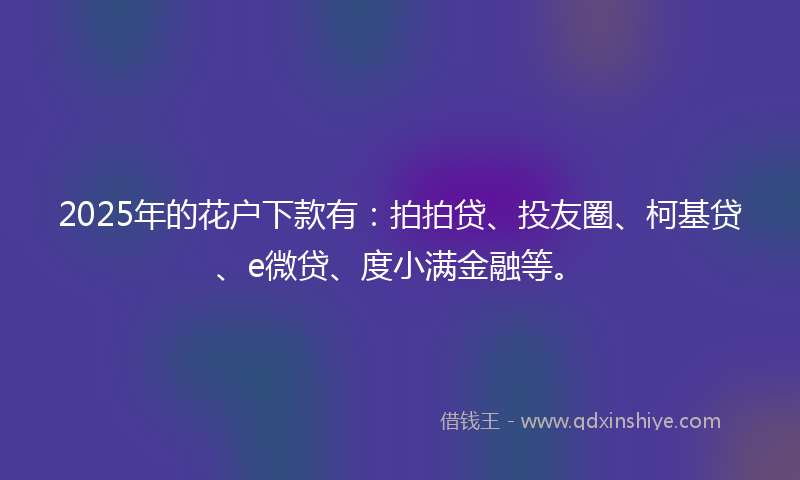 2025年的花户下款有：拍拍贷、投友圈、柯基贷、e微贷、度小满金融等。