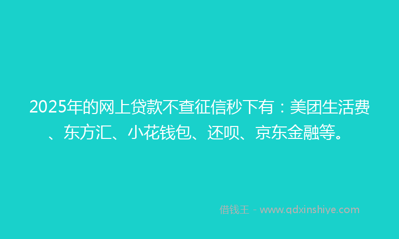 2025年的网上贷款不查征信秒下有：美团生活费、东方汇、小花钱包、还呗、京东金融等。