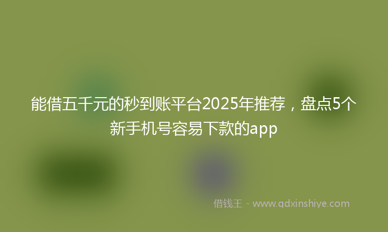 能借五千元的秒到账平台2025年推荐，盘点5个新手机号容易下款的app