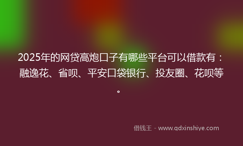 2025年的网贷高炮口子有哪些平台可以借款有：融逸花、省呗、平安口袋银行、投友圈、花呗等。