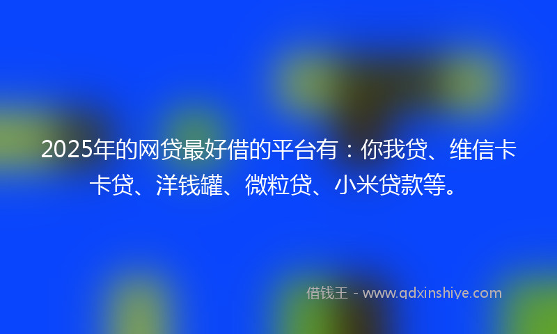2025年的网贷最好借的平台有：你我贷、维信卡卡贷、洋钱罐、微粒贷、小米贷款等。