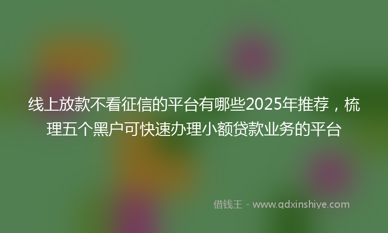 线上放款不看征信的平台有哪些2025年推荐，梳理五个黑户可快速办理小额贷款业务的平台