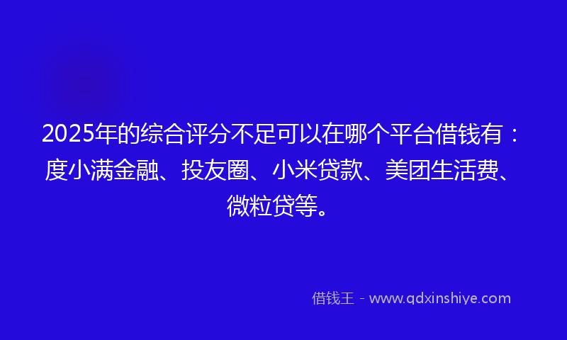 2025年的综合评分不足可以在哪个平台借钱有：度小满金融、投友圈、小米贷款、美团生活费、微粒贷等。