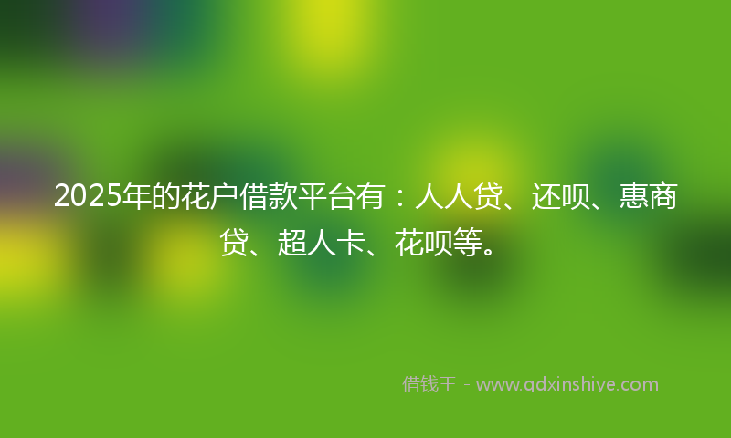 2025年的花户借款平台有：人人贷、还呗、惠商贷、超人卡、花呗等。
