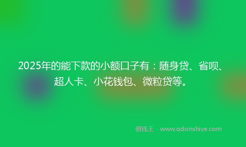 2025年的能下款的小额口子有：随身贷、省呗、超人卡、小花钱包、微粒贷等。