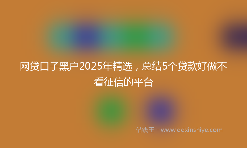 网贷口子黑户2025年精选，总结5个贷款好做不看征信的平台