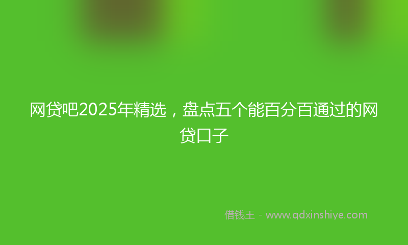 网贷吧2025年精选，盘点五个能百分百通过的网贷口子