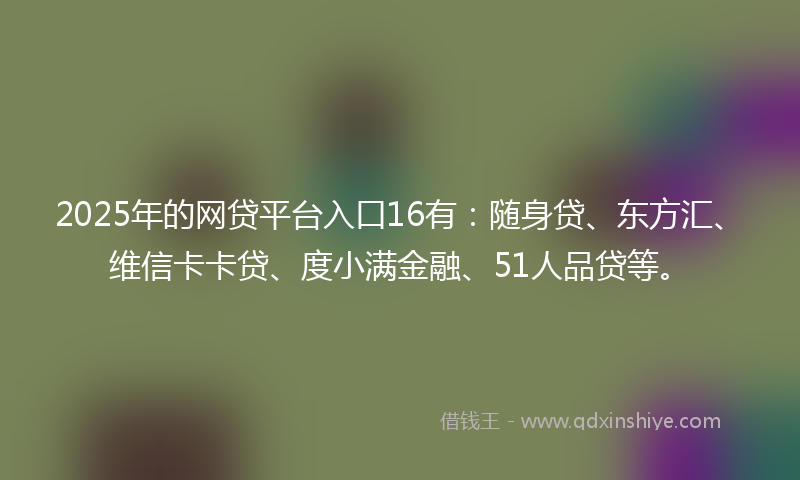 2025年的网贷平台入口16有：随身贷、东方汇、维信卡卡贷、度小满金融、51人品贷等。