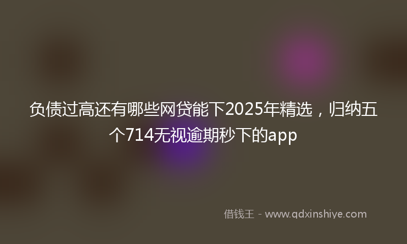 负债过高还有哪些网贷能下2025年精选，归纳五个714无视逾期秒下的app