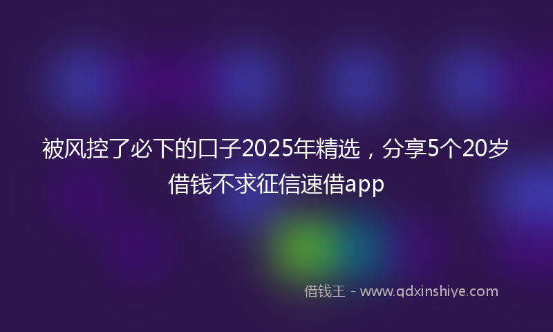 被风控了必下的口子2025年精选，分享5个20岁借钱不求征信速借app