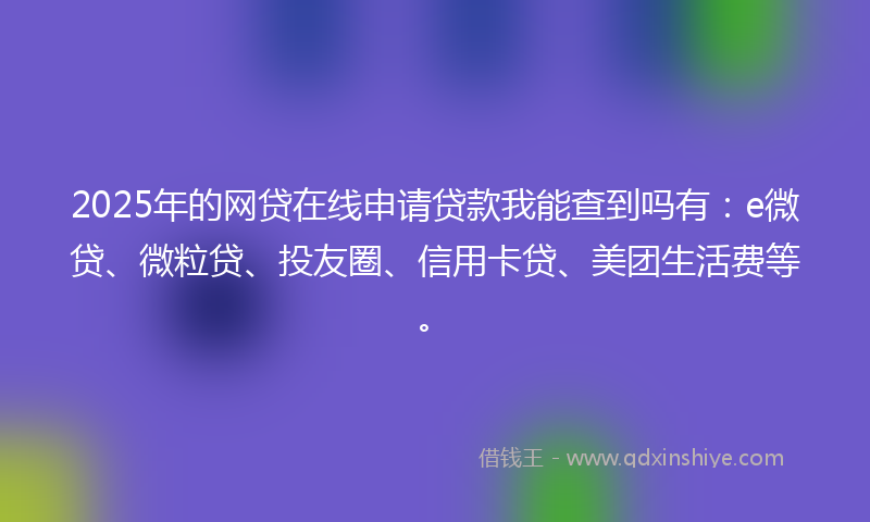 2025年的网贷在线申请贷款我能查到吗有：e微贷、微粒贷、投友圈、信用卡贷、美团生活费等。