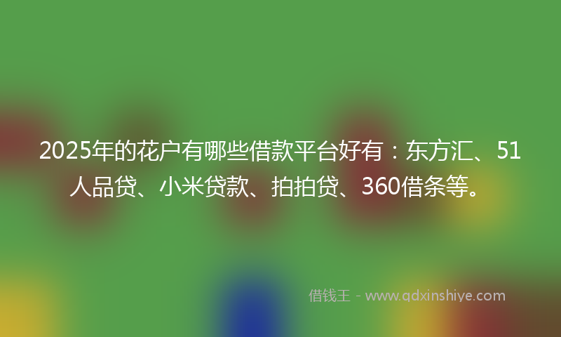 2025年的花户有哪些借款平台好有：东方汇、51人品贷、小米贷款、拍拍贷、360借条等。
