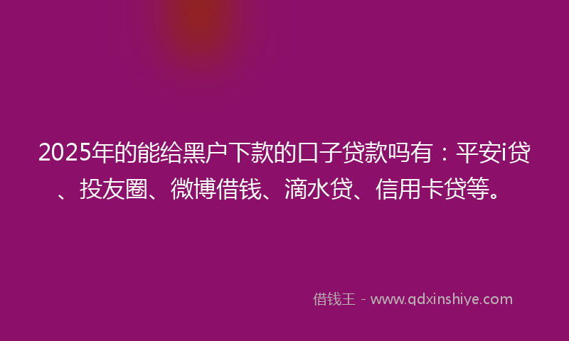 2025年的能给黑户下款的口子贷款吗有：平安i贷、投友圈、微博借钱、滴水贷、信用卡贷等。