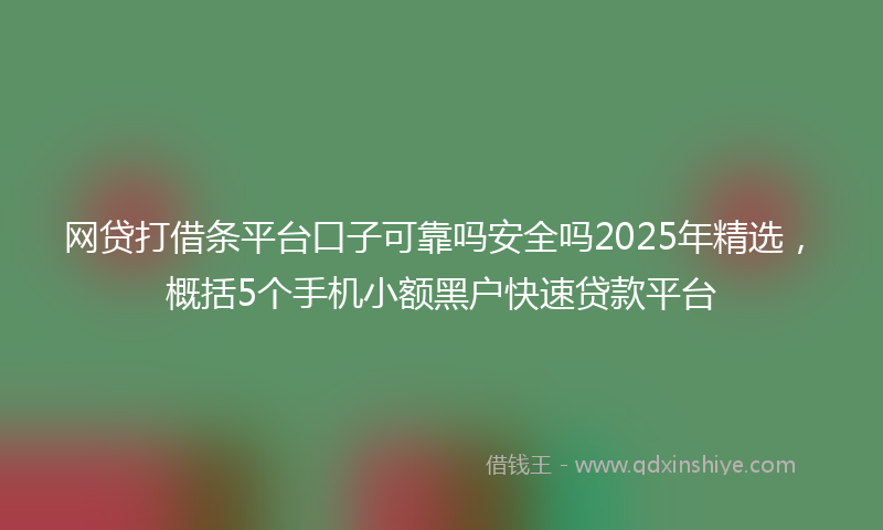 网贷打借条平台口子可靠吗安全吗2025年精选，概括5个手机小额黑户快速贷款平台