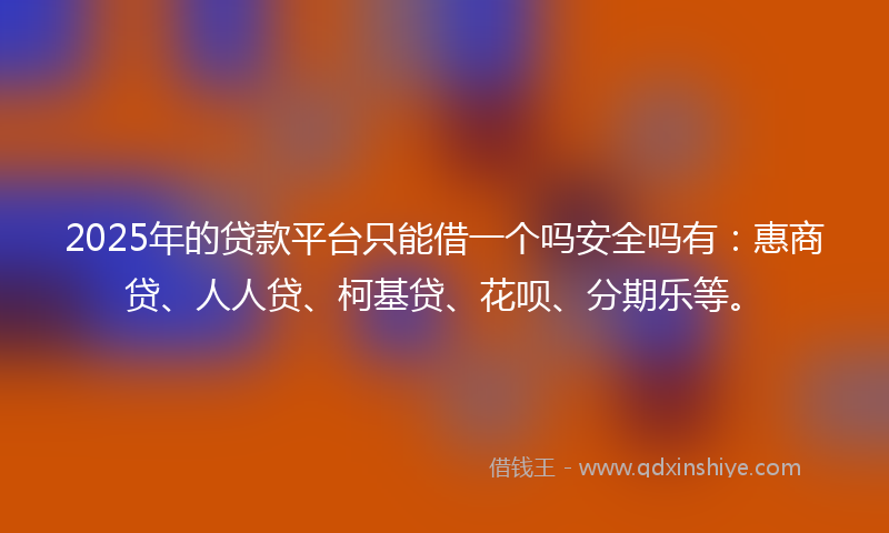 2025年的贷款平台只能借一个吗安全吗有：惠商贷、人人贷、柯基贷、花呗、分期乐等。