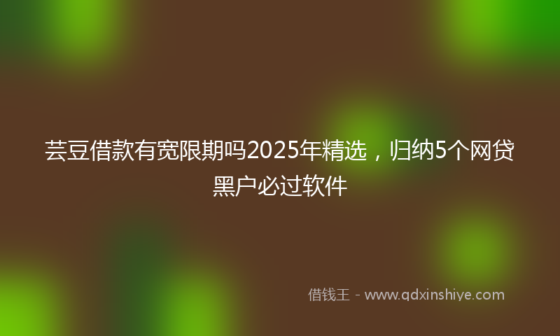 芸豆借款有宽限期吗2025年精选，归纳5个网贷黑户必过软件
