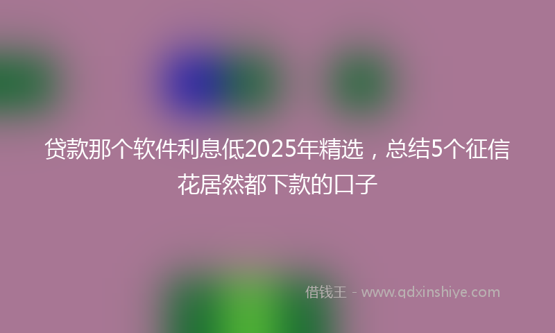 贷款那个软件利息低2025年精选，总结5个征信花居然都下款的口子