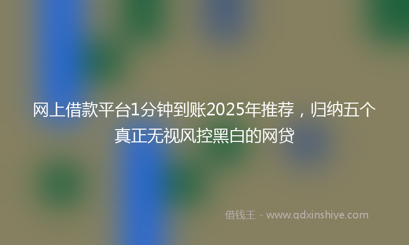 网上借款平台1分钟到账2025年推荐，归纳五个真正无视风控黑白的网贷