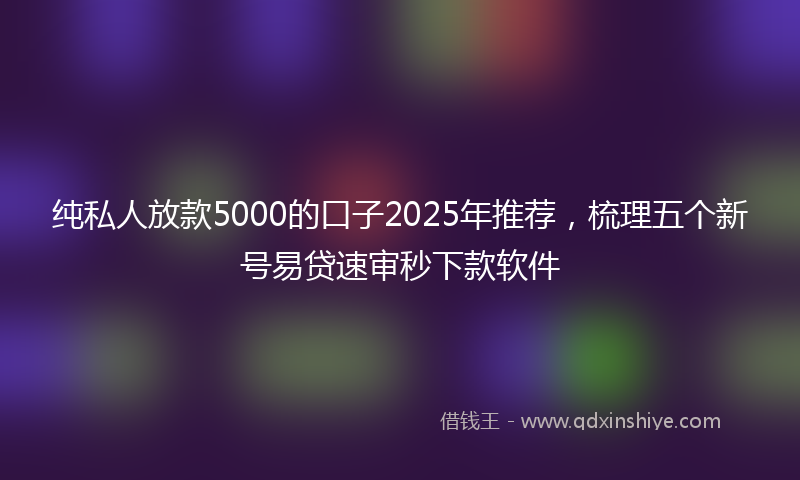 纯私人放款5000的口子2025年推荐，梳理五个新号易贷速审秒下款软件