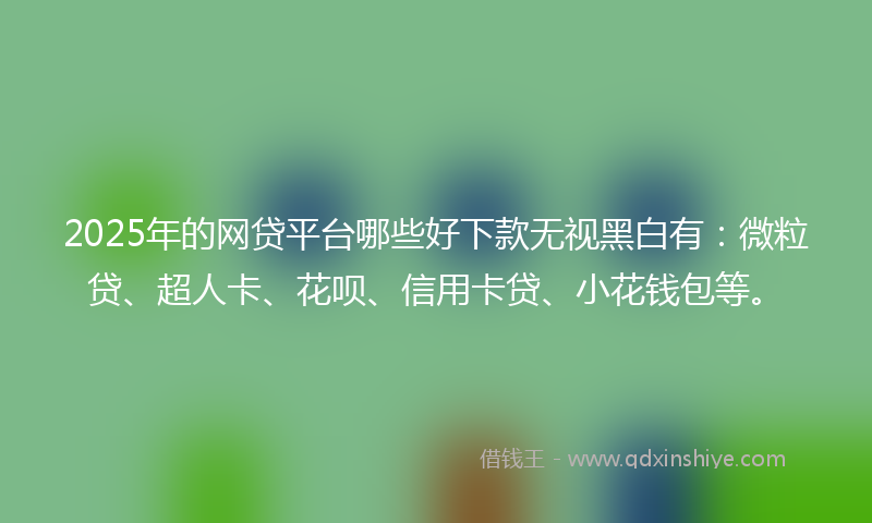 2025年的网贷平台哪些好下款无视黑白有：微粒贷、超人卡、花呗、信用卡贷、小花钱包等。
