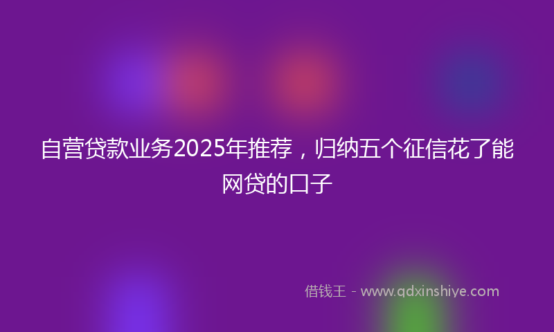 自营贷款业务2025年推荐，归纳五个征信花了能网贷的口子