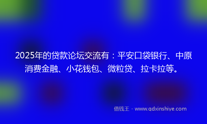 2025年的贷款论坛交流有：平安口袋银行、中原消费金融、小花钱包、微粒贷、拉卡拉等。