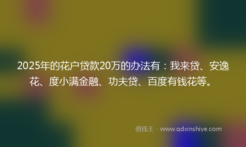 2025年的花户贷款20万的办法有：我来贷、安逸花、度小满金融、功夫贷、百度有钱花等。