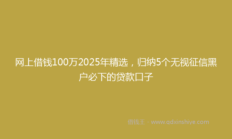 网上借钱100万2025年精选，归纳5个无视征信黑户必下的贷款口子