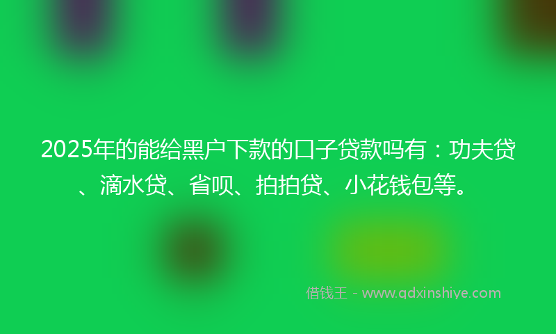 2025年的能给黑户下款的口子贷款吗有：功夫贷、滴水贷、省呗、拍拍贷、小花钱包等。