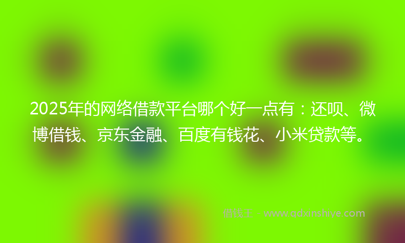 2025年的网络借款平台哪个好一点有：还呗、微博借钱、京东金融、百度有钱花、小米贷款等。