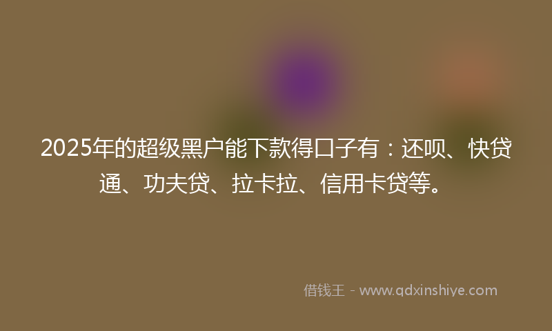 2025年的超级黑户能下款得口子有：还呗、快贷通、功夫贷、拉卡拉、信用卡贷等。