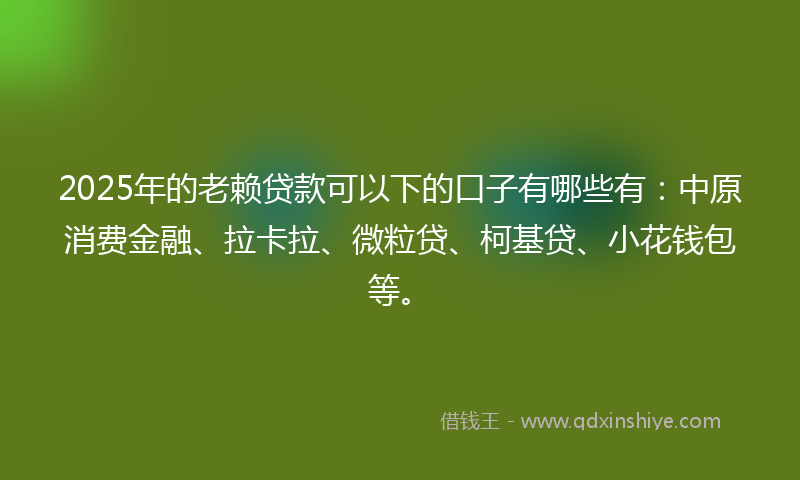 2025年的老赖贷款可以下的口子有哪些有：中原消费金融、拉卡拉、微粒贷、柯基贷、小花钱包等。