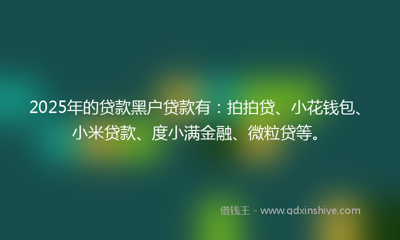 2025年的贷款黑户贷款有：拍拍贷、小花钱包、小米贷款、度小满金融、微粒贷等。