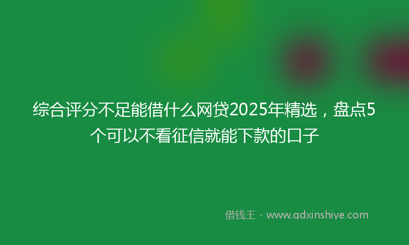 综合评分不足能借什么网贷2025年精选，盘点5个可以不看征信就能下款的口子