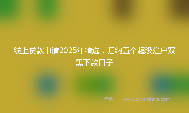 线上贷款申请2025年精选，归纳五个超级烂户双黑下款口子