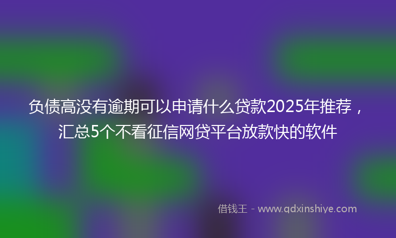 负债高没有逾期可以申请什么贷款2025年推荐，汇总5个不看征信网贷平台放款快的软件