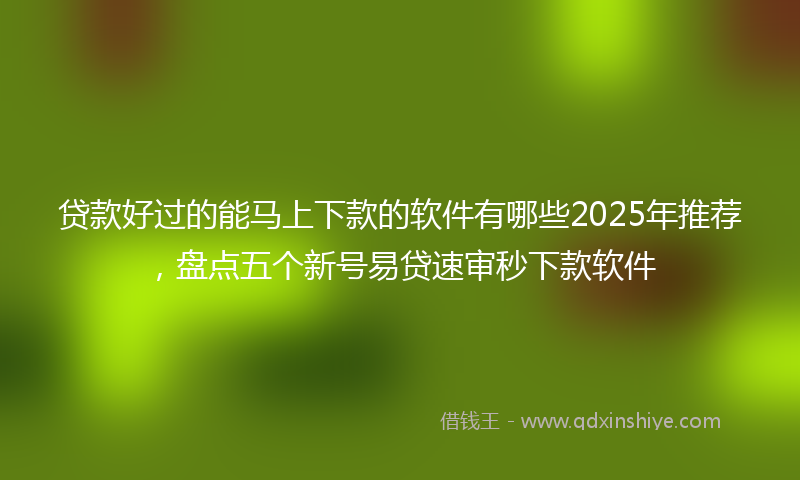 贷款好过的能马上下款的软件有哪些2025年推荐，盘点五个新号易贷速审秒下款软件