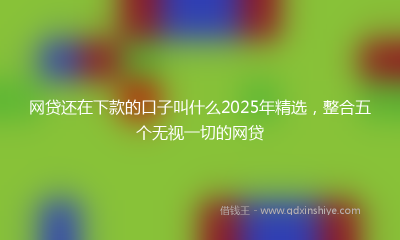网贷还在下款的口子叫什么2025年精选，整合五个无视一切的网贷