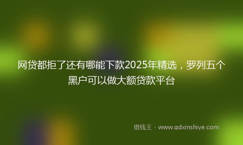 网贷都拒了还有哪能下款2025年精选，罗列五个黑户可以做大额贷款平台